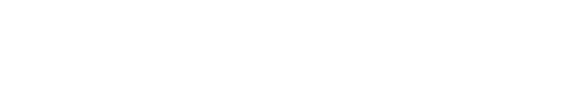 Service Service